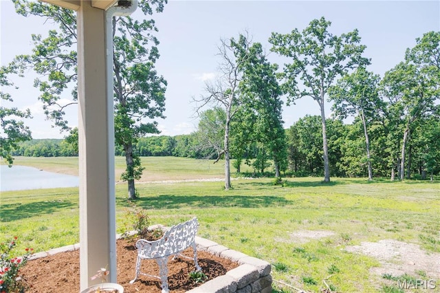 4621 Elk Head Rd, Bland, MO 65014 - photo 12
