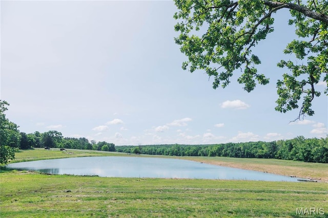 4621 Elk Head Rd, Bland, MO 65014 - photo 15