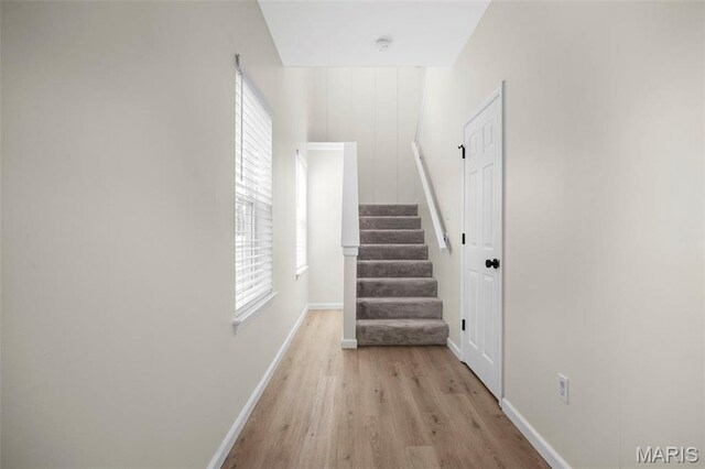 2007 Village Glen Dr, Wentzville, MO 63385 - photo 10