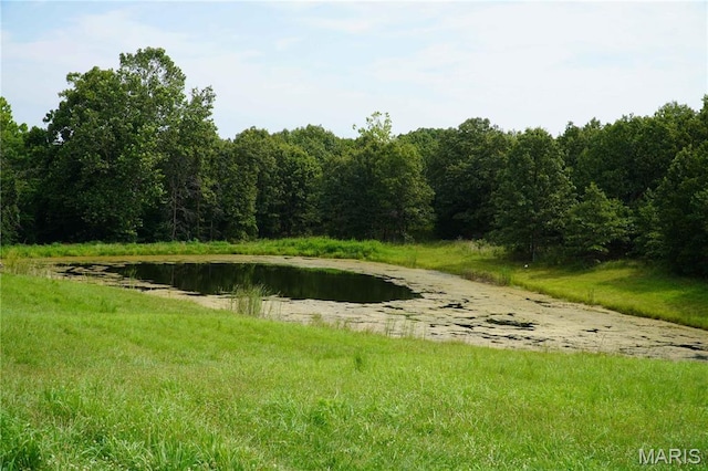 1247 State Highway 64, Tunas, MO 65764 - photo 25