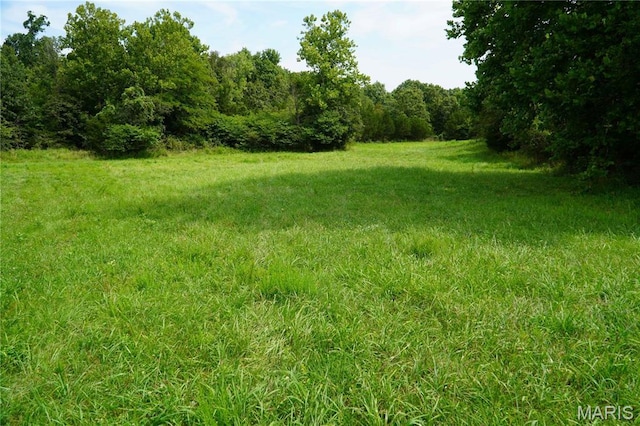 1247 State Highway 64, Tunas, MO 65764 - photo 26