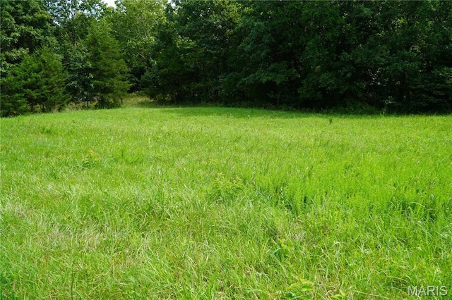 1247 State Highway 64, Tunas, MO 65764 - photo 28