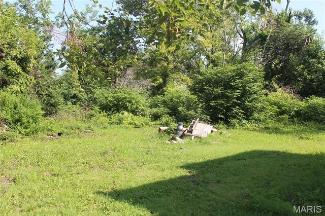 1711 N N Taylor Ave, Saint Louis, MO 63113 - photo 25
