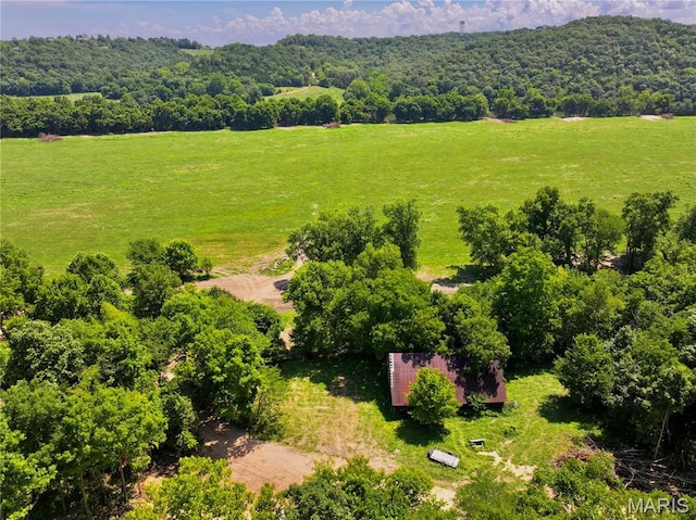 TBD Bobwhite Ln, Tract 8, MO 65452 - photo 1