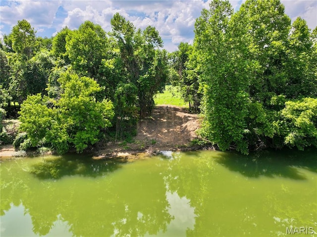 TBD Bobwhite Ln, Tract 8, MO 65452 - photo 2