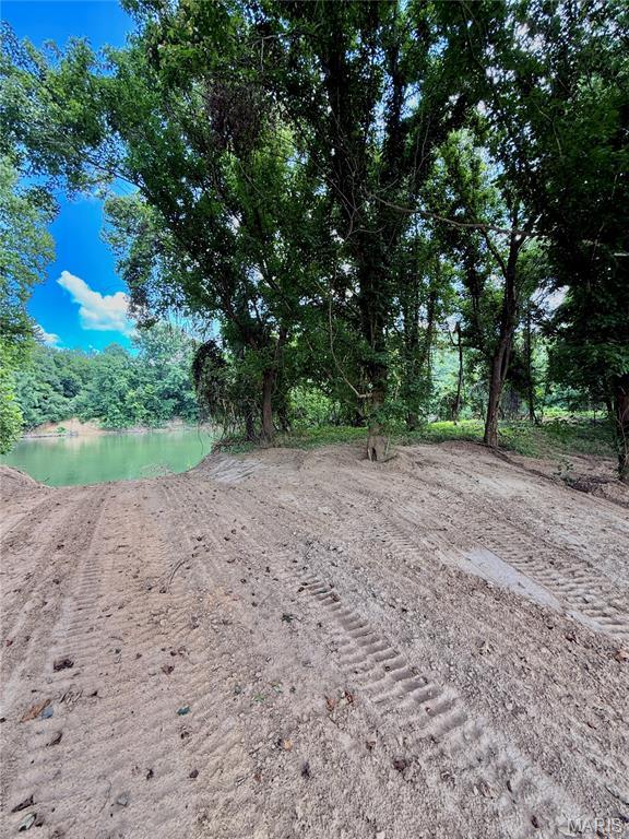 TBD Bobwhite Ln, Tract 8, MO 65452 - photo 4
