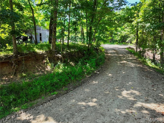 TBD Bobwhite Ln, Tract 8, MO 65452 - photo 6
