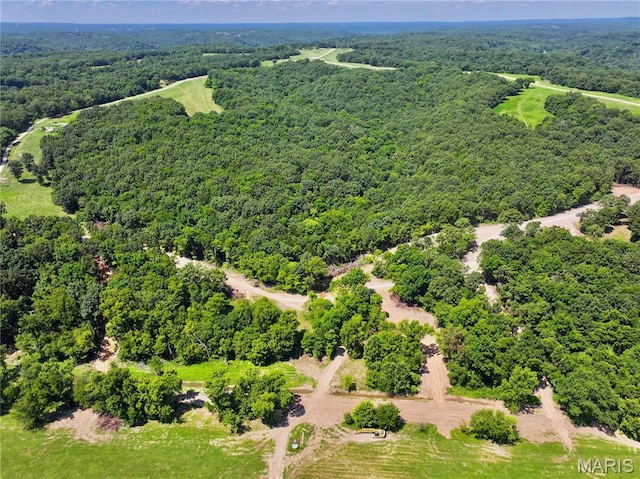 TBD Bobwhite Ln, Tract 8, MO 65452 - photo 7