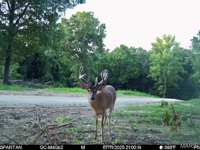 TBD Bobwhite Ln, Tract 8, MO 65452 - photo 8