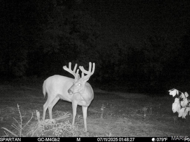TBD Bobwhite Ln, Tract 8, MO 65452 - photo 9