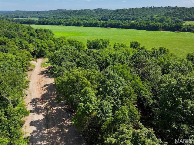 TBD Bobwhite Ln, Tract 8, MO 65452 - photo 11