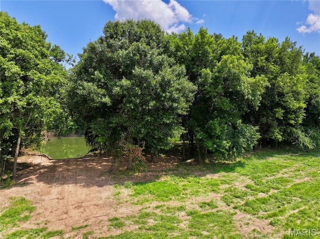 TBD Bobwhite Ln, Tract 8, MO 65452 - photo 17