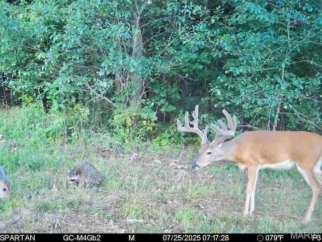 TBD Bobwhite Ln, Tract 8, MO 65452 - photo 21