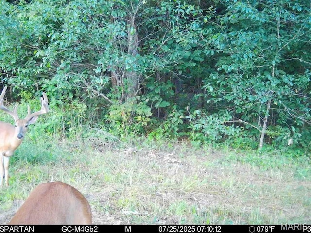 TBD Bobwhite Ln, Tract 8, MO 65452 - photo 22