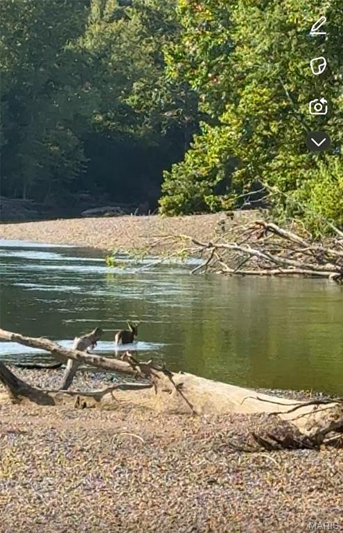 TBD Bobwhite Ln, Tract 8, MO 65452 - photo 24