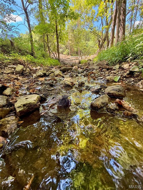 TBD Bobwhite Ln, Tract 8, MO 65452 - photo 27