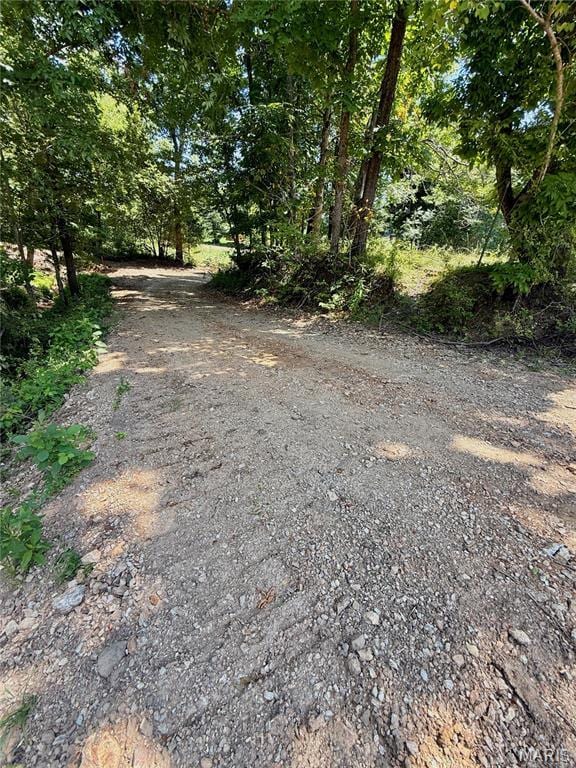 TBD Bobwhite Ln, Tract 8, MO 65452 - photo 28