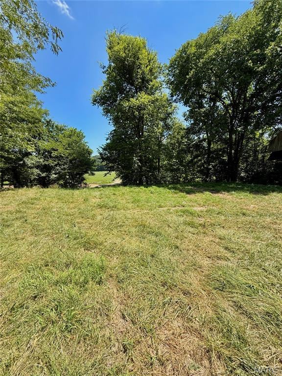 TBD Bobwhite Ln, Tract 8, MO 65452 - photo 29