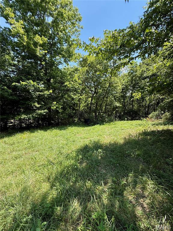 TBD Bobwhite Ln, Tract 8, MO 65452 - photo 31