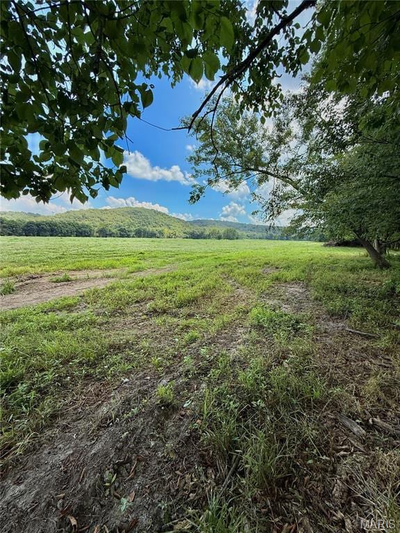TBD Bobwhite Ln, Tract 8, MO 65452 - photo 34