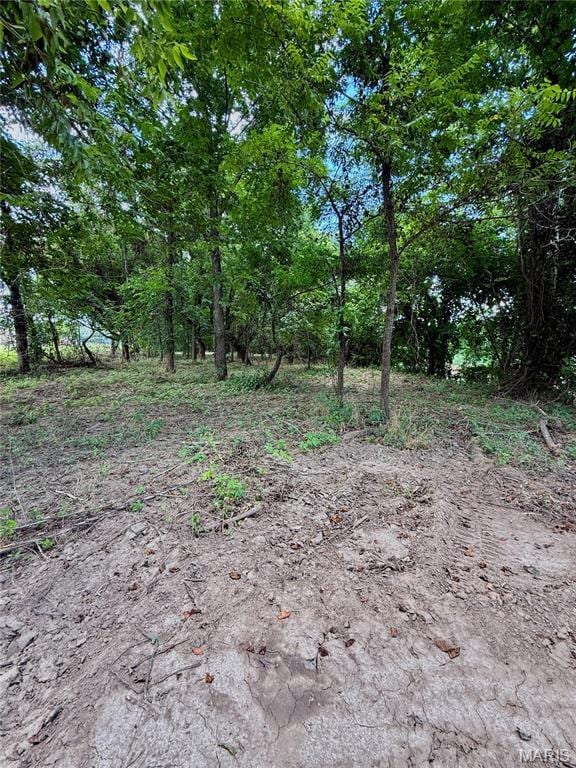 TBD Bobwhite Ln, Tract 8, MO 65452 - photo 37