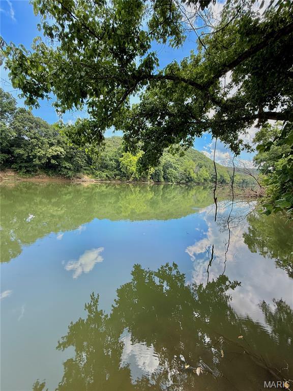 TBD Bobwhite Ln, Tract 8, MO 65452 - photo 41