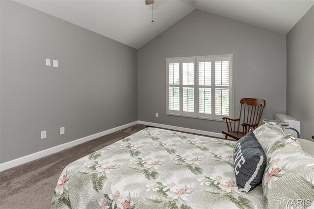 2083 Seven Oaks Dr, Saint Charles, MO 63303 - photo 33
