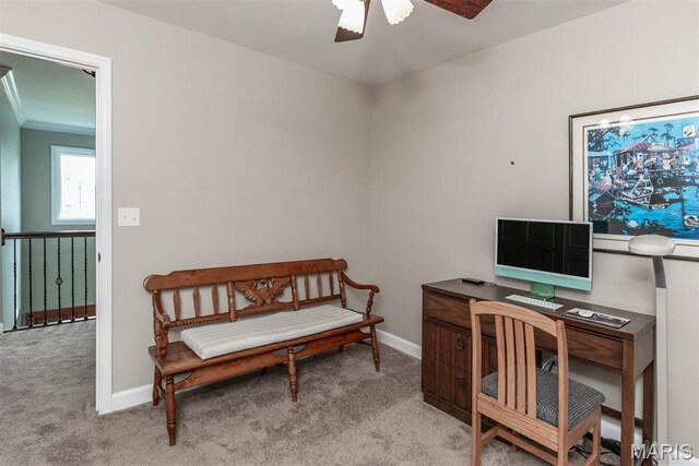 2083 Seven Oaks Dr, Saint Charles, MO 63303 - photo 46