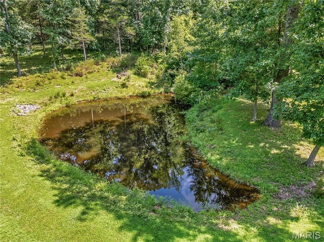 1843 Coles Creek Rd, Hermann, MO 65041 - photo 41