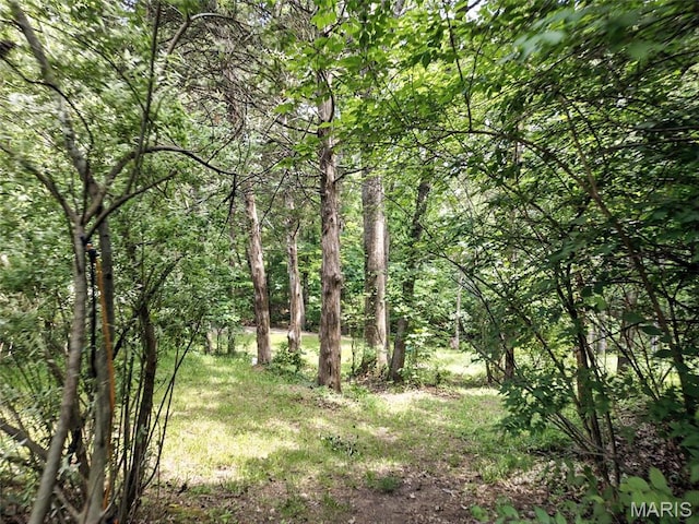 9255 Byrnesville Rd, Cedar Hill, MO 63016 - photo 72