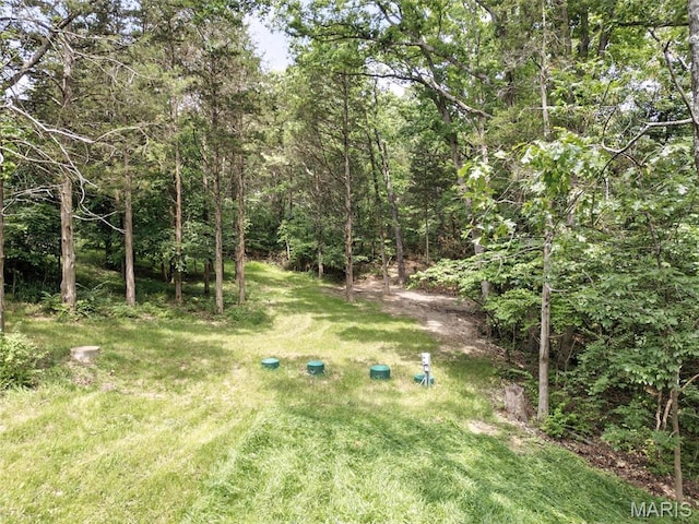 9255 Byrnesville Rd, Cedar Hill, MO 63016 - photo 74