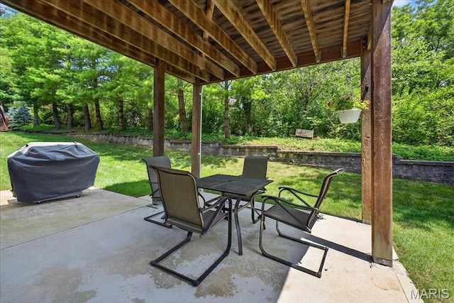 5522 Remington Villas Ct, Oakville Township, MO 63129 - photo 29