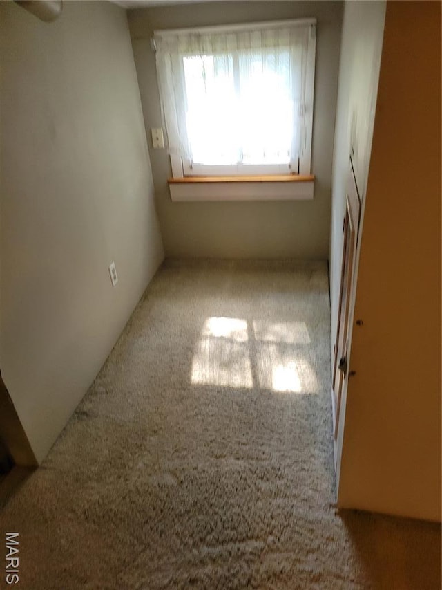 839 Prickett Ave, Edwardsville, IL 62025 - photo 25