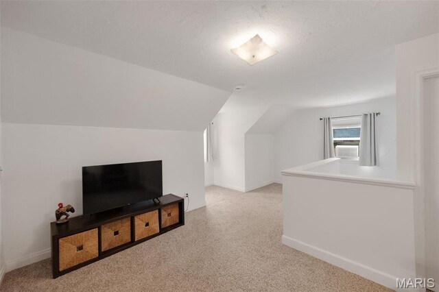 7319 Devonshire Ave, Saint Louis, MO 63119 - photo 13
