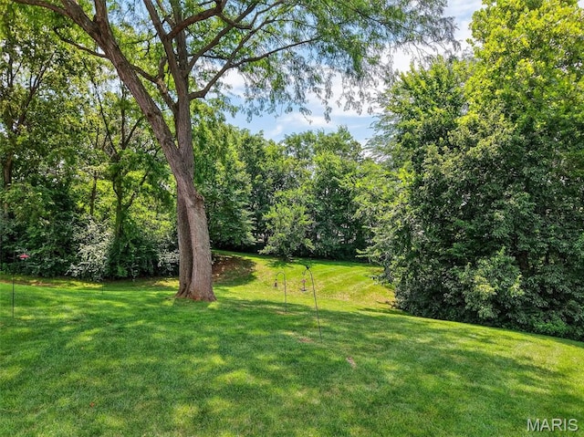 1124 S Charlemagne Dr, Lake St Louis, MO 63367 - photo 36