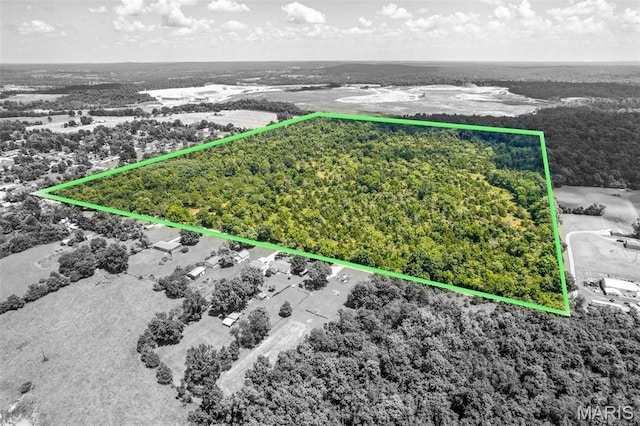 0 S Mine La Motte Ave, Fredericktown, MO 63645 - photo 3