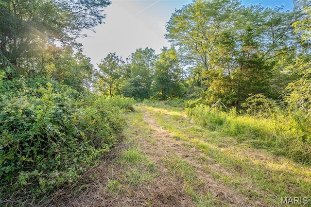 0 S Mine La Motte Ave, Fredericktown, MO 63645 - photo 6