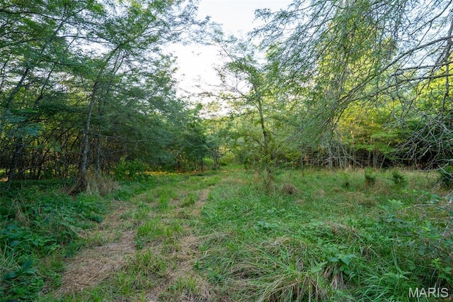 0 S Mine La Motte Ave, Fredericktown, MO 63645 - photo 7