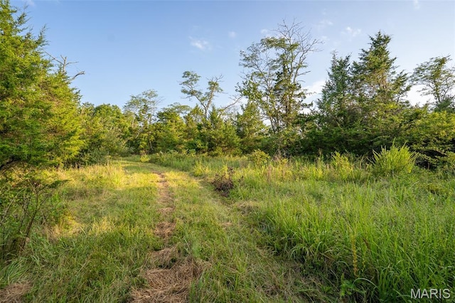 0 S Mine La Motte Ave, Fredericktown, MO 63645 - photo 8