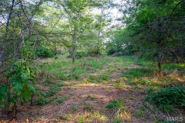 0 S Mine La Motte Ave, Fredericktown, MO 63645 - photo 11