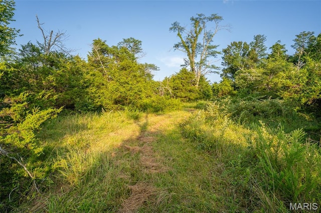 0 S Mine La Motte Ave, Fredericktown, MO 63645 - photo 13