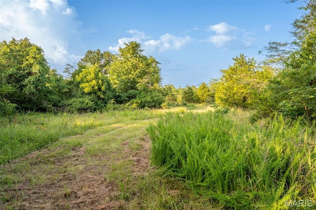 0 S Mine La Motte Ave, Fredericktown, MO 63645 - photo 14