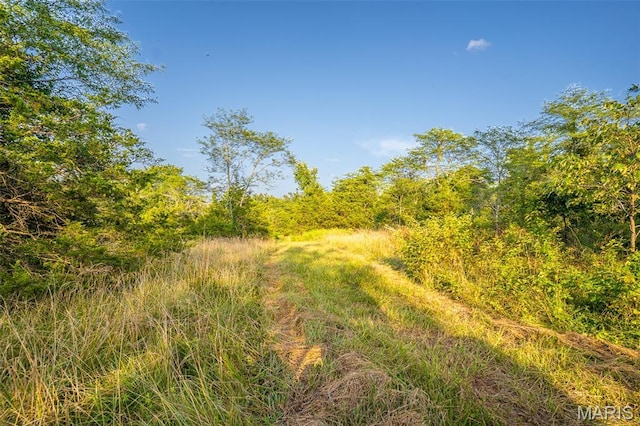 0 S Mine La Motte Ave, Fredericktown, MO 63645 - photo 15
