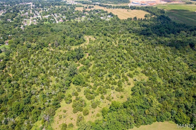 0 S Mine La Motte Ave, Fredericktown, MO 63645 - photo 20