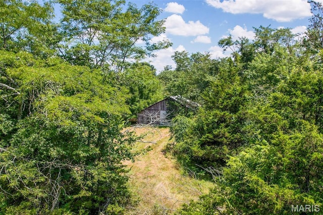 0 S Mine La Motte Ave, Fredericktown, MO 63645 - photo 23