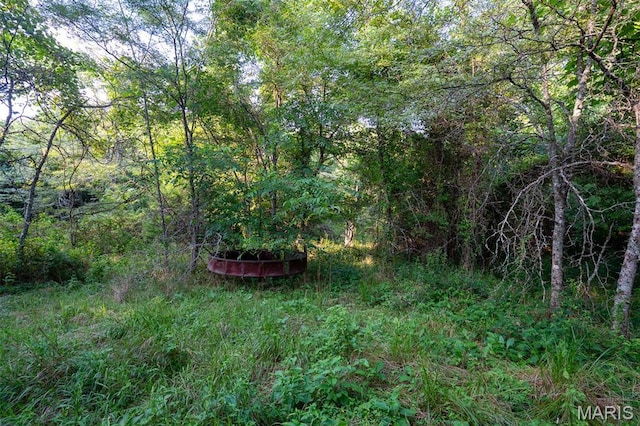 0 S Mine La Motte Ave, Fredericktown, MO 63645 - photo 24