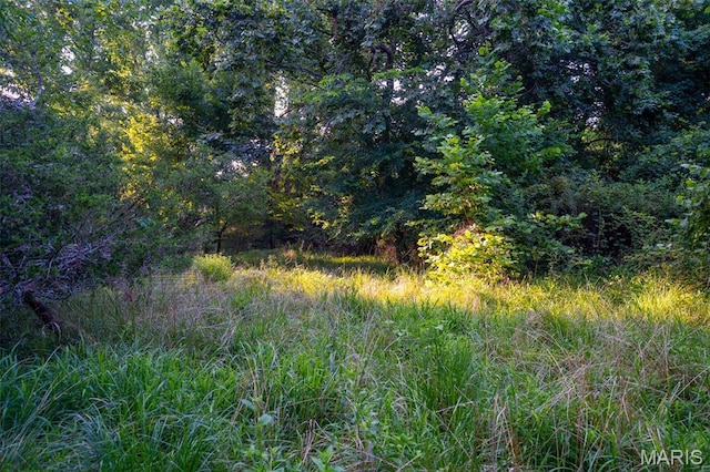 0 S Mine La Motte Ave, Fredericktown, MO 63645 - photo 25