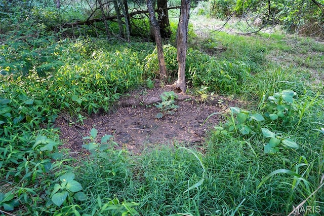 0 S Mine La Motte Ave, Fredericktown, MO 63645 - photo 26