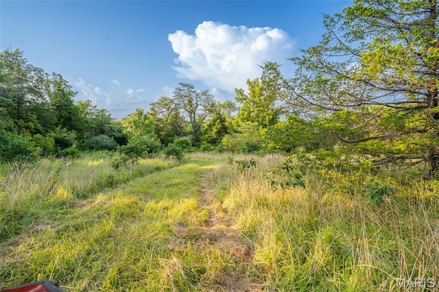 0 S Mine La Motte Ave, Fredericktown, MO 63645 - photo 28