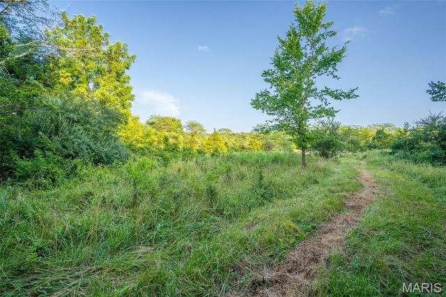0 S Mine La Motte Ave, Fredericktown, MO 63645 - photo 29